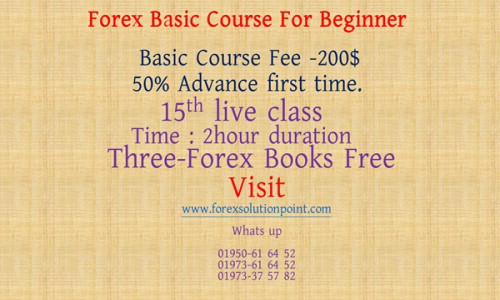 Forex Basic Course for Beginner2024